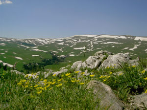 Весеннее Плато Лаго-Наки